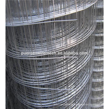 Anping de baixa carbono quente mergulhado galvanizado soldado Wire Mesh